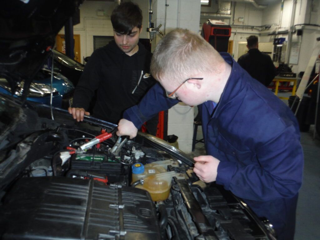 Work Experience
